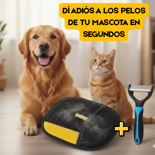 Pack lanzamiento Manopla + Cepillo